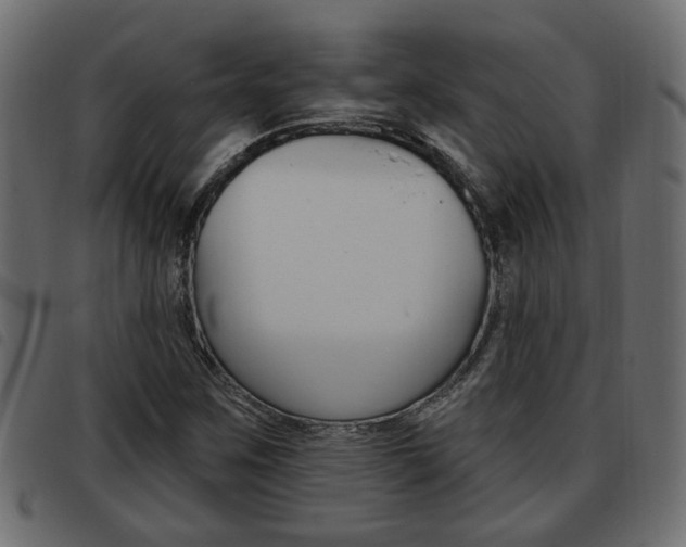 X0000093621259200710151033
