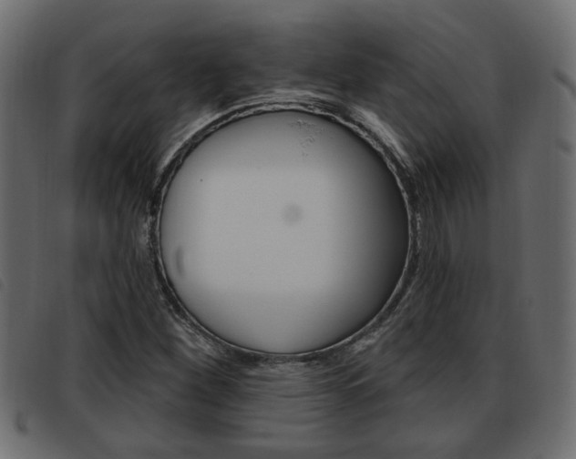X0000093621260200710151033