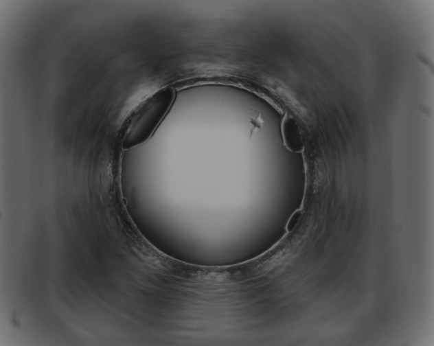 X0000093621261200710151033