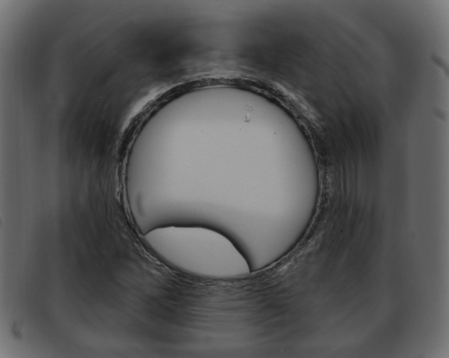 X0000093621262200710151033