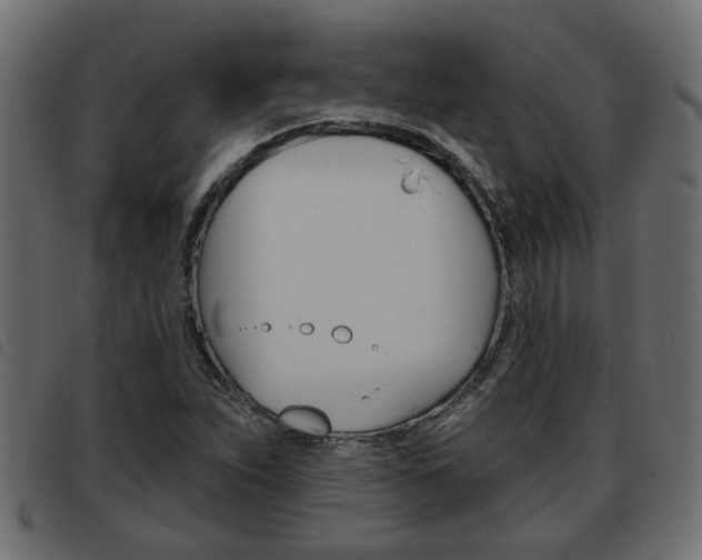 X0000093621263200710151033