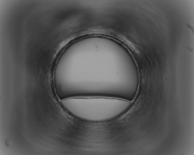 X0000093621264200710151033