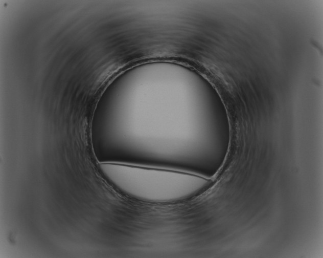 X0000093621265200710151033