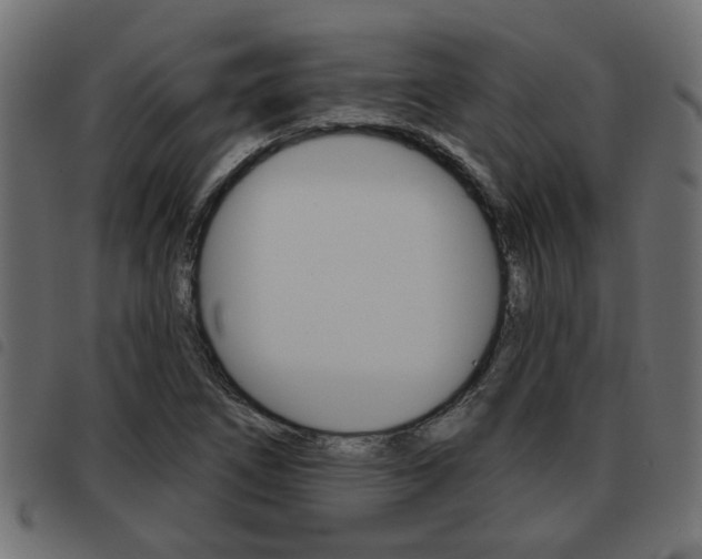 X0000093621266200710151033