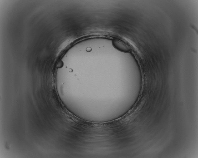 X0000093621267200710151033