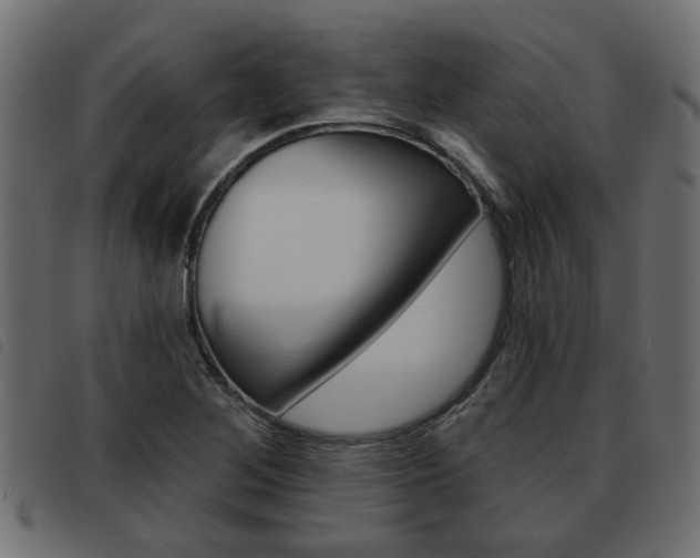 X0000093621268200710151033