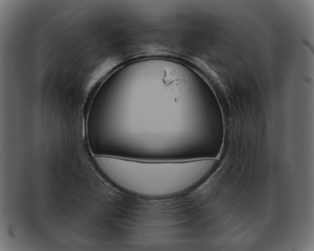 X0000093621269200710151033