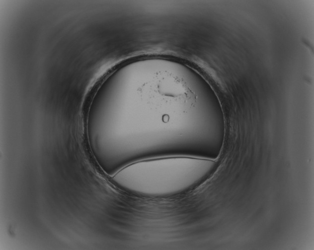 X0000093621270200710151033