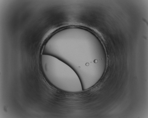 X0000093621271200710151033