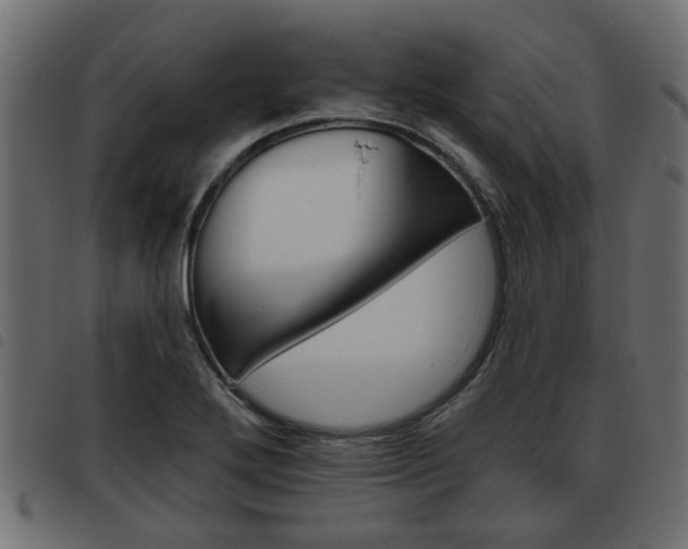 X0000093621272200710151033
