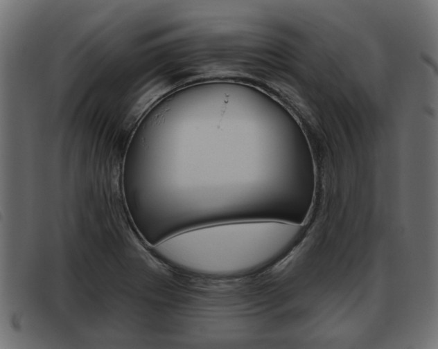 X0000093621273200710151033