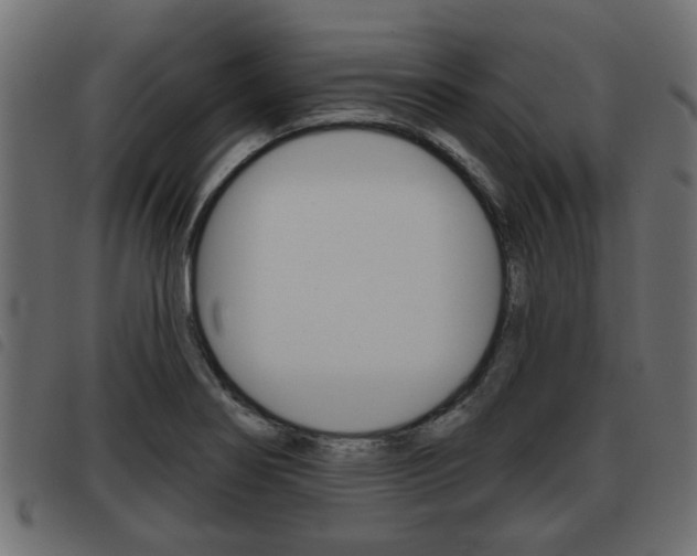 X0000093621274200710151033