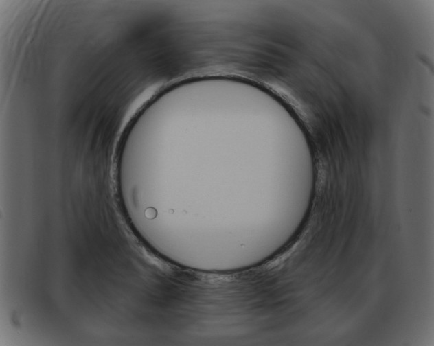 X0000093621278200710151033