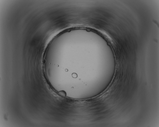 X0000093621279200710151033