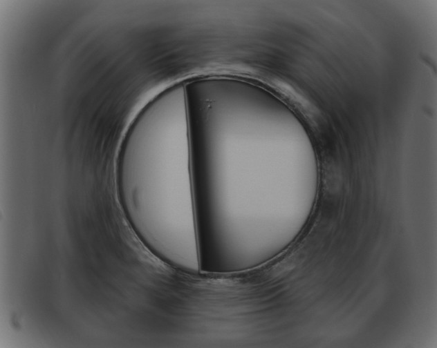 X0000093621280200710151033