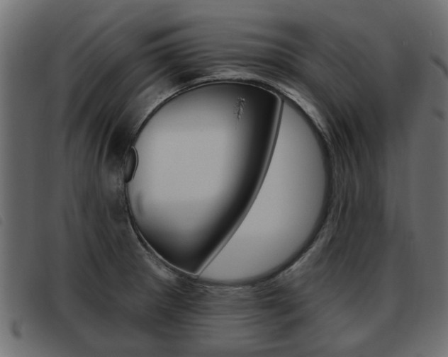 X0000093621281200710151033