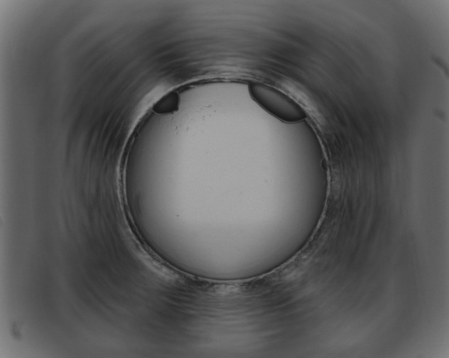X0000093621283200710151033