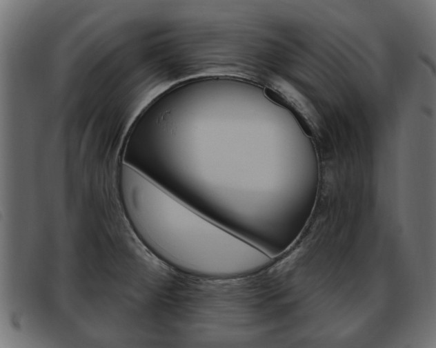 X0000093621284200710151033