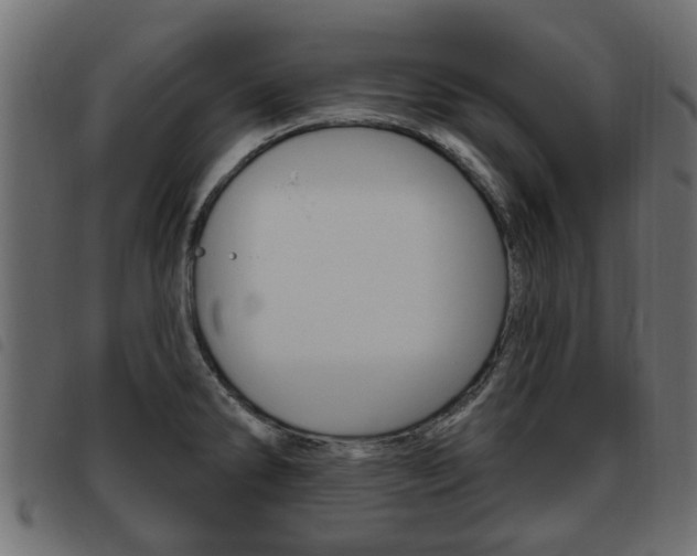 X0000093621286200710151033