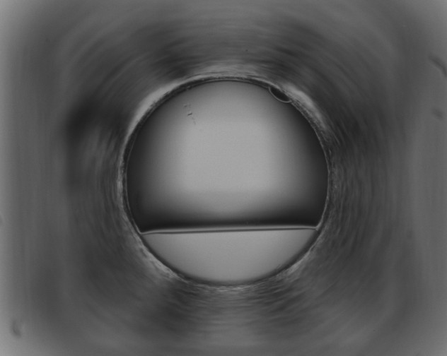 X0000093621288200710151033