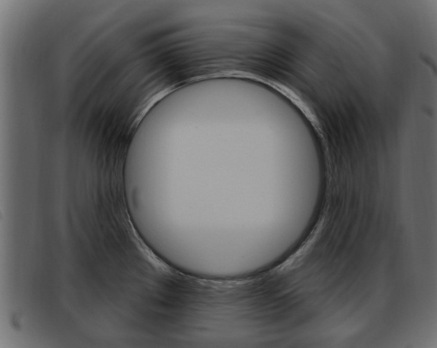 X0000093621289200710151033