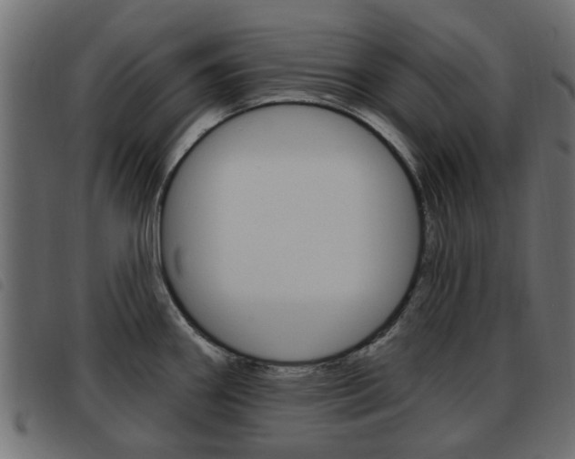 X0000093621290200710151033