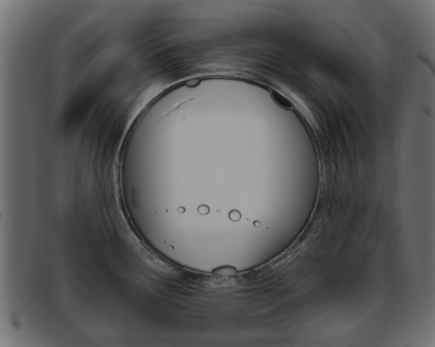 X0000093621291200710151033