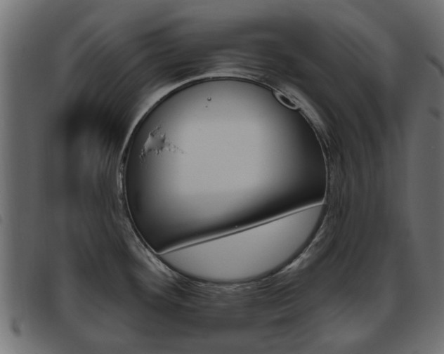 X0000093621292200710151033