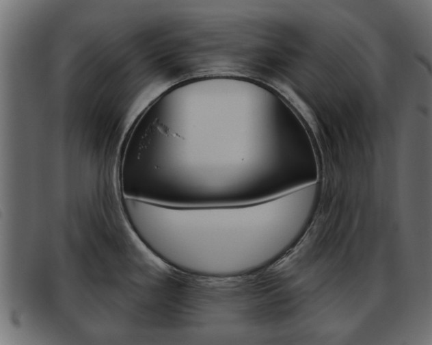 X0000093621293200710151033