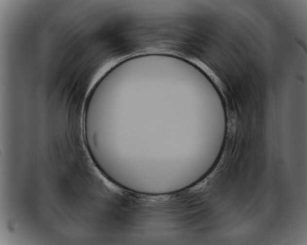 X0000093621294200710151033