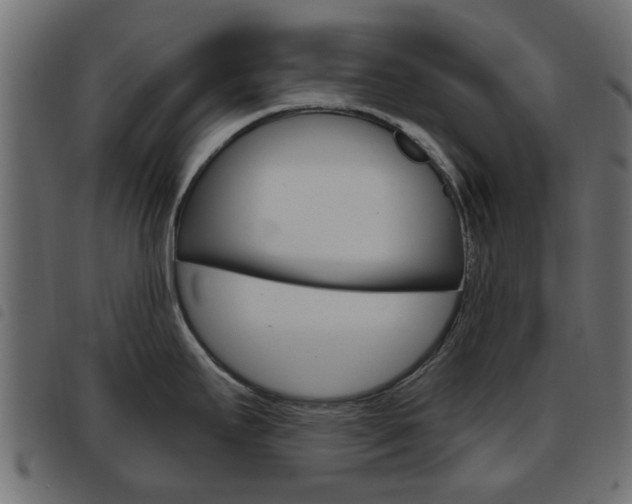 X0000093621295200710151033