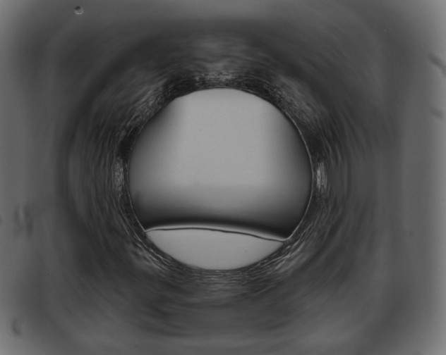 X0000093621299200710151032