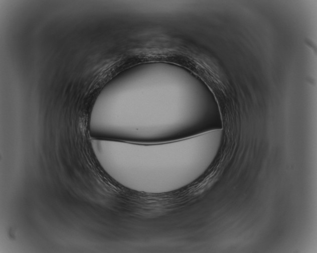 X0000093621300200710151032