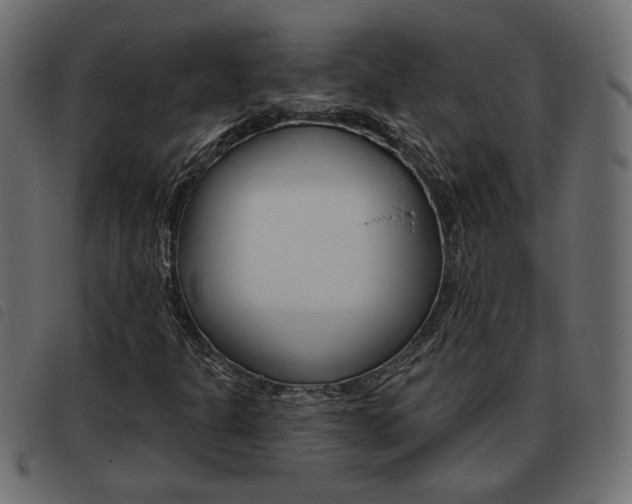 X0000093621301200710151033