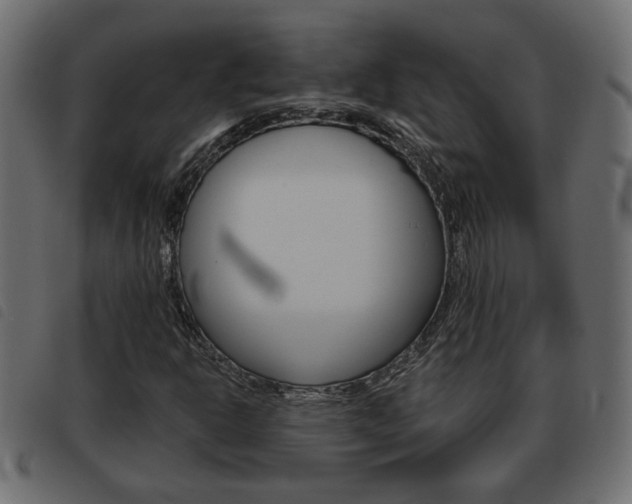 X0000093621302200710151033