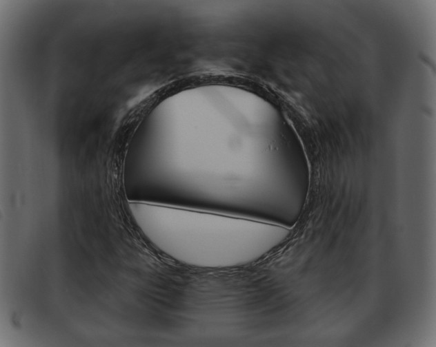X0000093621303200710151033