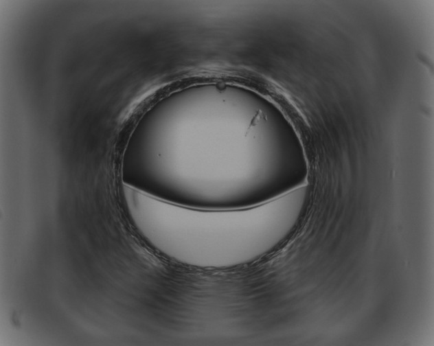 X0000093621304200710151033