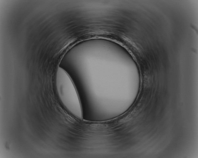 X0000093621305200710151033