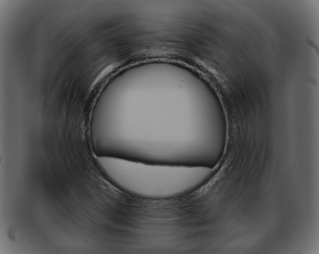 X0000093621306200710151033