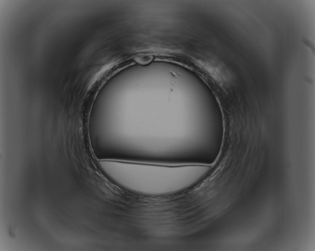 X0000093621307200710151033