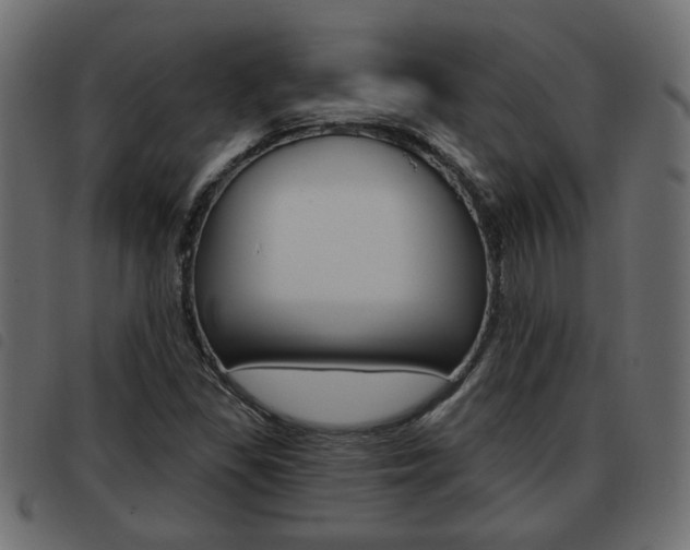 X0000093621309200710151033