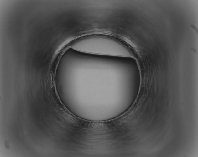 X0000093621310200710151033