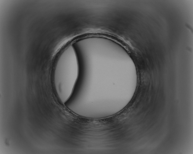 X0000093621311200710151033