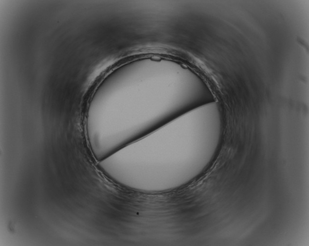 X0000093621312200710151033