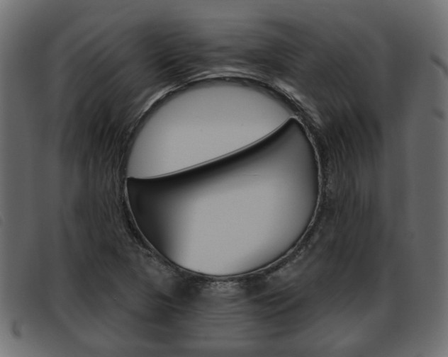 X0000093621313200710151033