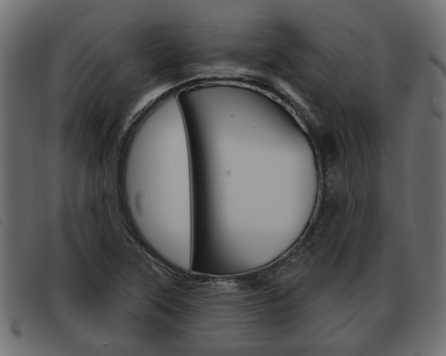 X0000093621315200710151033
