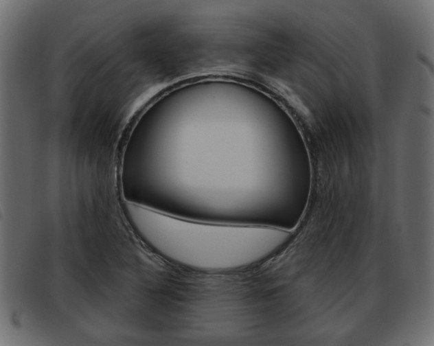 X0000093621316200710151033