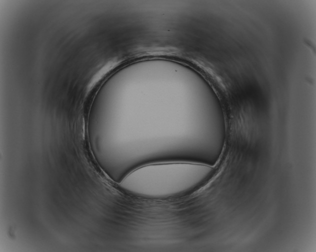 X0000093621317200710151033