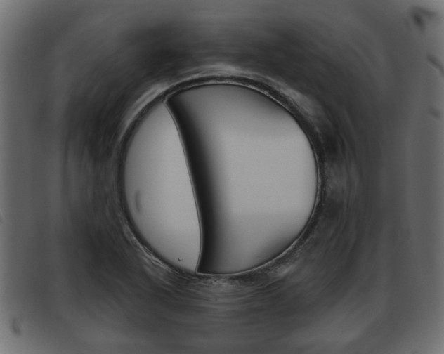 X0000093621318200710151033