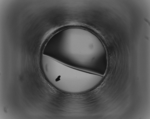 X0000093621319200710151033
